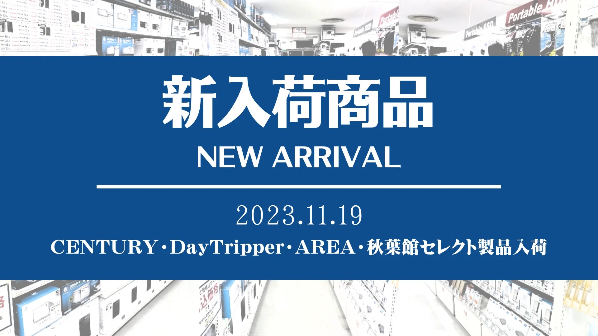 新着入荷 CENTURY・DayTripper・AREA・秋葉館セレクト(2023/11/19)
