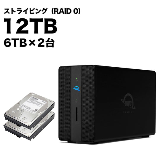 スタンダードモデル 12TB