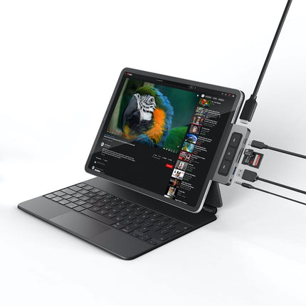 HyperDrive 6-in-1 USB-C Media Hub for iPad [HP-HD449]